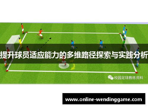 提升球员适应能力的多维路径探索与实践分析