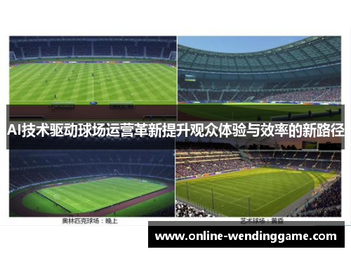 AI技术驱动球场运营革新提升观众体验与效率的新路径