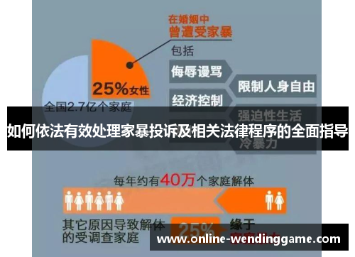 如何依法有效处理家暴投诉及相关法律程序的全面指导