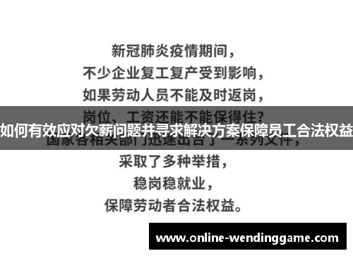 如何有效应对欠薪问题并寻求解决方案保障员工合法权益