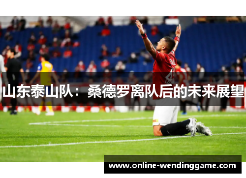 山东泰山队：桑德罗离队后的未来展望
