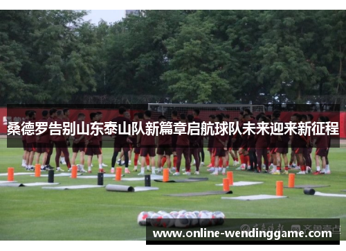 桑德罗告别山东泰山队新篇章启航球队未来迎来新征程