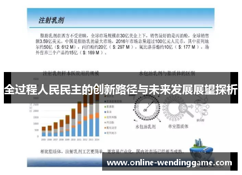 全过程人民民主的创新路径与未来发展展望探析