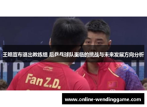 王皓宣布退出教练组 后乒乓球队面临的挑战与未来发展方向分析